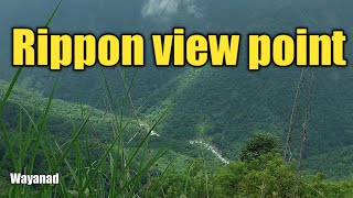 Rippon view Point /Wayanad