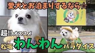 【愛犬とお泊まり☆】松坂わんわんパラダイスが最高すぎました！！