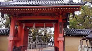 【西宮神社】えべっさん開門神事福男選びのルート