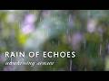 Rain of Echoes | Awakening Senses