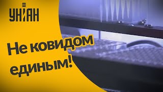 В Украину придут четыре штамма вируса гриппа