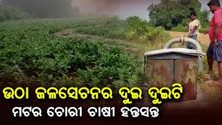 ଗୋଟିଏ ରାତିରେ ଉଠା ଜଳସେଚନର ଦୁଇ ଦୁଇଟି ମଟର ଚୋରି ଚାଷୀ ହନ୍ତସନ୍ତ