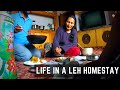 When in Ladakh, do what the Ladakhis do! || LEH HOMESTAY ll HIRAETH ll