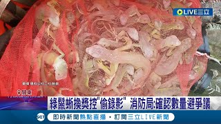 我是移除者不是嫌疑犯! 民眾抓綠鬣蜥到消防隊換獎勵反遭懷疑