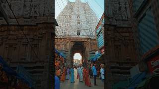 History of Sri Govindaraja swamy temple🛕👏#tirupati #devotional #shorts #temple #govinda #ytshorts