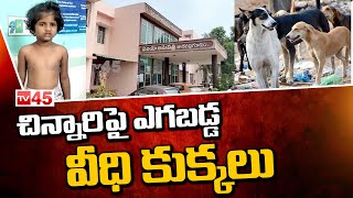 Street Dogs On Child | చిన్నారిపై ఎగబడ్డ వీధి కుక్కలు - TV45 News