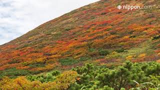 Mount Akita-Komagatake in Autumn: Brilliant Foliage Attracts Visitors | Nippon.com: Japan in Video