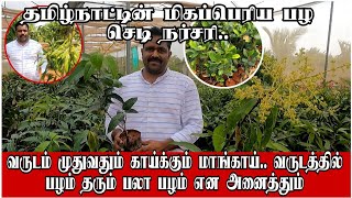 ஒரே வருடத்தில் பழம் / Early Bird Plant Nursery #விவசாயம்காப்போம்