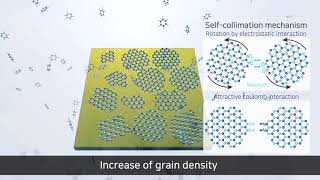 wafer-scale single-crystal hexagonal boron nitride film via self collimated grain formation