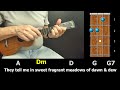 Till There Was You - Ukulele Strum-Along with Chords and Lyrics