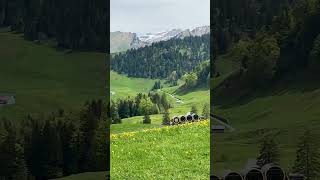 Stoos Dorf 🇨🇭❤️🏔️ #swissnature #nature #switzerland #travel #mountain #alps #hiking