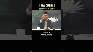 손가락은 스스로 손가락이라고 한 적이 없다 | 월인선원 #전심법요50