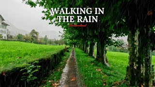 Walking In The Rain, Switzerland Relaxing Rain Walk - Umbrella And Nature Sounds