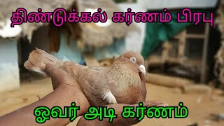 Over adi karnam-ஓவர் அடி கர்ணம்