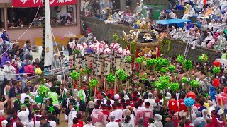 播州の秋祭り 灘のけんか祭り 木場 広畠 入場 松原八幡神社（本宮）2017.10.15