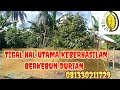 DEWAne Duren Beraksi - 3 Kunci Keberhasilan Berkebun Durian (@dewaneduren)