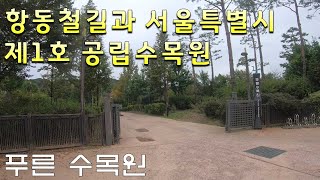 [서울특별시 구로구] 푸른 수목원