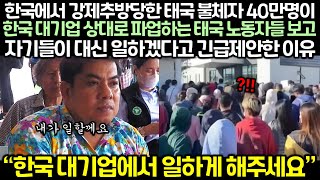 현재 한국에서 강제추방당한 태국 불체자 40만명이 한국 대기업 상대로 파업하는 태국 노동자들 보고 자기들이 대신 일하겠다고 긴급제안한 이유