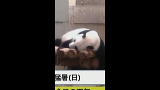 【大島璃音】まるで私ｗｗｗ