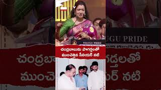 చంద్రబాబును పొగడ్తలతో ముంచెత్తిన సీనియర్ నటి #ntrcinevajrotsavam #telugunews #chandrababu