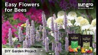 The Best Everblooming Flowers for Bees with Black Gold®