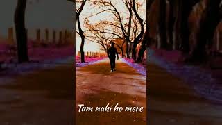 Asal mein tum nahi ho mere   aesthetic song   aesthetic video   whatsapp status