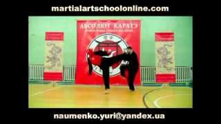 空手 ABSOLUTE KARATE- Absolutely Ultimate Fighting\