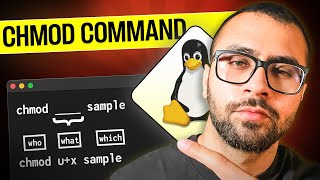 Mastering chmod Command in Linux: A Beginner's Guide