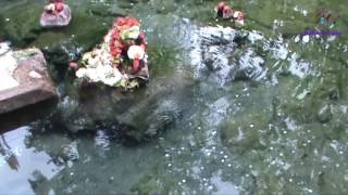 Taptapani | Hot Water Spring in Berhampur | Odisha