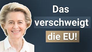 So VIEL zahlt Deutschland an die EU! - Ist das noch sinnvoll?