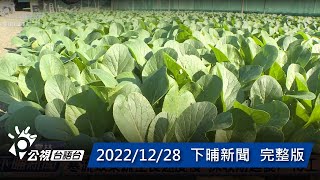 20221228 下晡新聞 | 公視台語台