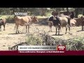 Namibia Faces Worst Drought in 14 years