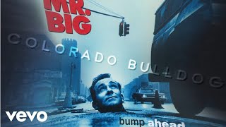 Mr. Big - Colorado Bulldog (audio)