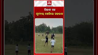 ପିଲାଙ୍କ ସହ ଫୁଟବଲ୍ ଖେଳିଲେ ଗଜରାଜ  || BADAKHABAR ||