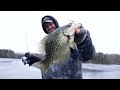 monster crappie in northern wisconsin 16 inches