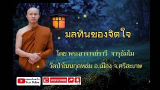 มลทินของจิตใจ #ธรรมะ พระอาจารย์ราวี  จารุธัมโม #วัดป่าโนนกุดหล่ม อ.เมือง จ.ศรีสะเกษ