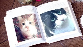 オス猫のおちびの動画を観る前に予習しましょうね！ ♥♥猫との会話を楽しむ動画 Conversation with a talking cat