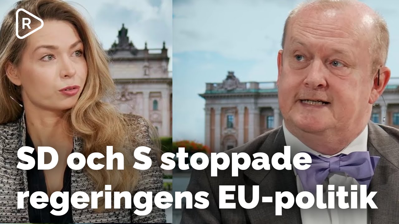 SD Och S Stoppade Regeringens EU-politik | Dick Erixon: Kan Bli Fler ...