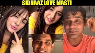 Sidharth Shukla - Shehnaaz Gill First Live Video Chat Together With Fan | Sidnaaz Funny Moments