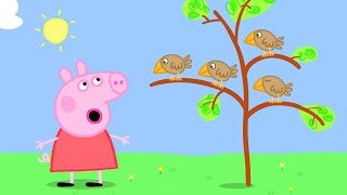 小猪佩奇 | 在猪爷爷猪奶奶家过夜 | 粉红猪小妹|Peppa Pig | 动画