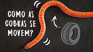 How does a snake move if it has no legs?