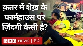 Qatar में Sheikh के फार्म हाउस पर कैसी है ज़िंदगी, आंखों देखी (BBC Hindi)