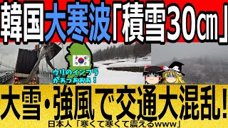 【海外の反応】韓国大寒波「積雪３０ｃｍ」大雪・強風で交通大混乱！【ゆっくり解説】