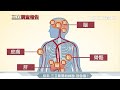 鉛毒危機四面埋伏　煮沸也挽救不了｜【三立調查報告】｜三立新聞台