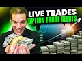 February 2023 Option Trade Alerts and Signals