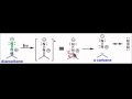 Photofragmentation & Photoelimination Reactions