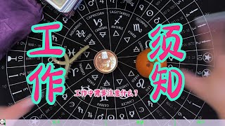 【塔罗占卜】🔮工作中你需要注意什么？你自己的状态和环境因素，都来看看！