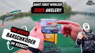 Die Besten Barschköder im Herbst 🎣 | Beste Hechtköder Barschköder| Lieblingsköder | Nays | Westin