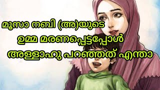 മൂസാ നബി (അ)ന്റെ ഉമ്മ മരണപ്പെട്ടപ്പോൾ അള്ളാഹു പറഞ്ഞത്എന്താണ്...#Islamicstatusvideo #umma