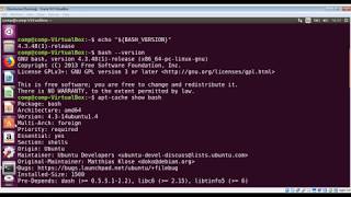 How to check bash version